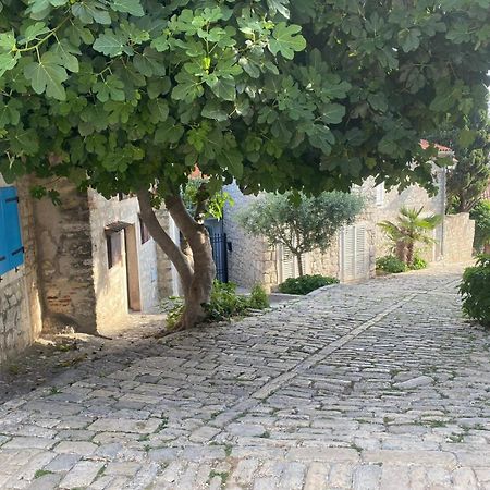 הוילה רוביני Seaview House Rosali מראה חיצוני תמונה