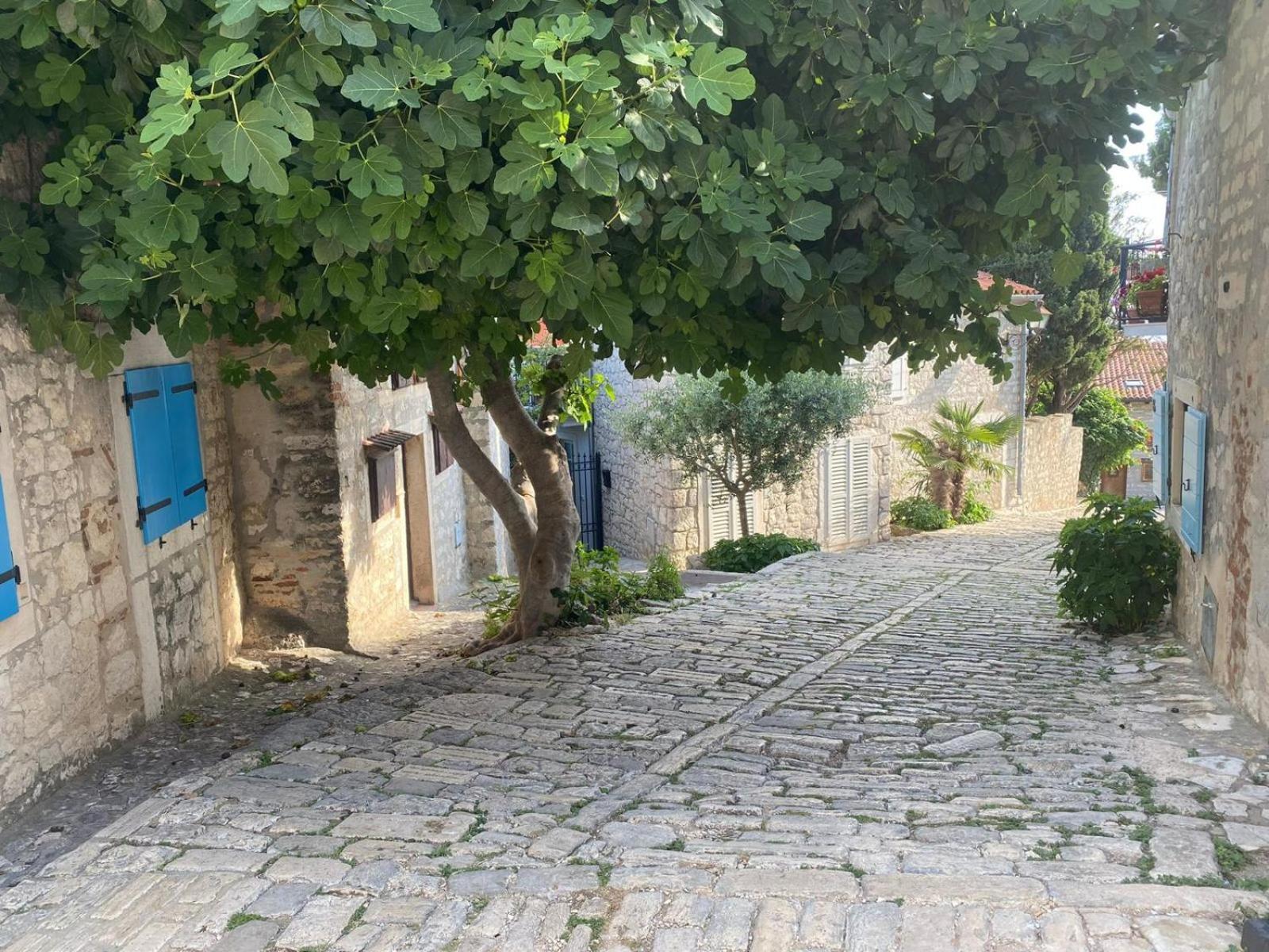 הוילה רוביני Seaview House Rosali מראה חיצוני תמונה